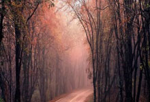 开云体育APP下载-雨夜都柏林诞生奇迹！迈克斯里蒙铁血率队上演史诗级逆转