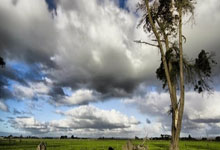 开云官网-中国足球队：在国际赛场开创历史的新篇章