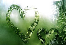 开云官网-西雅图海湾者替补席深度成优势，冲击世俱杯冠军