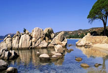 开云官网-西雅图海湾者替补席深度成优势，冲击世俱杯冠军