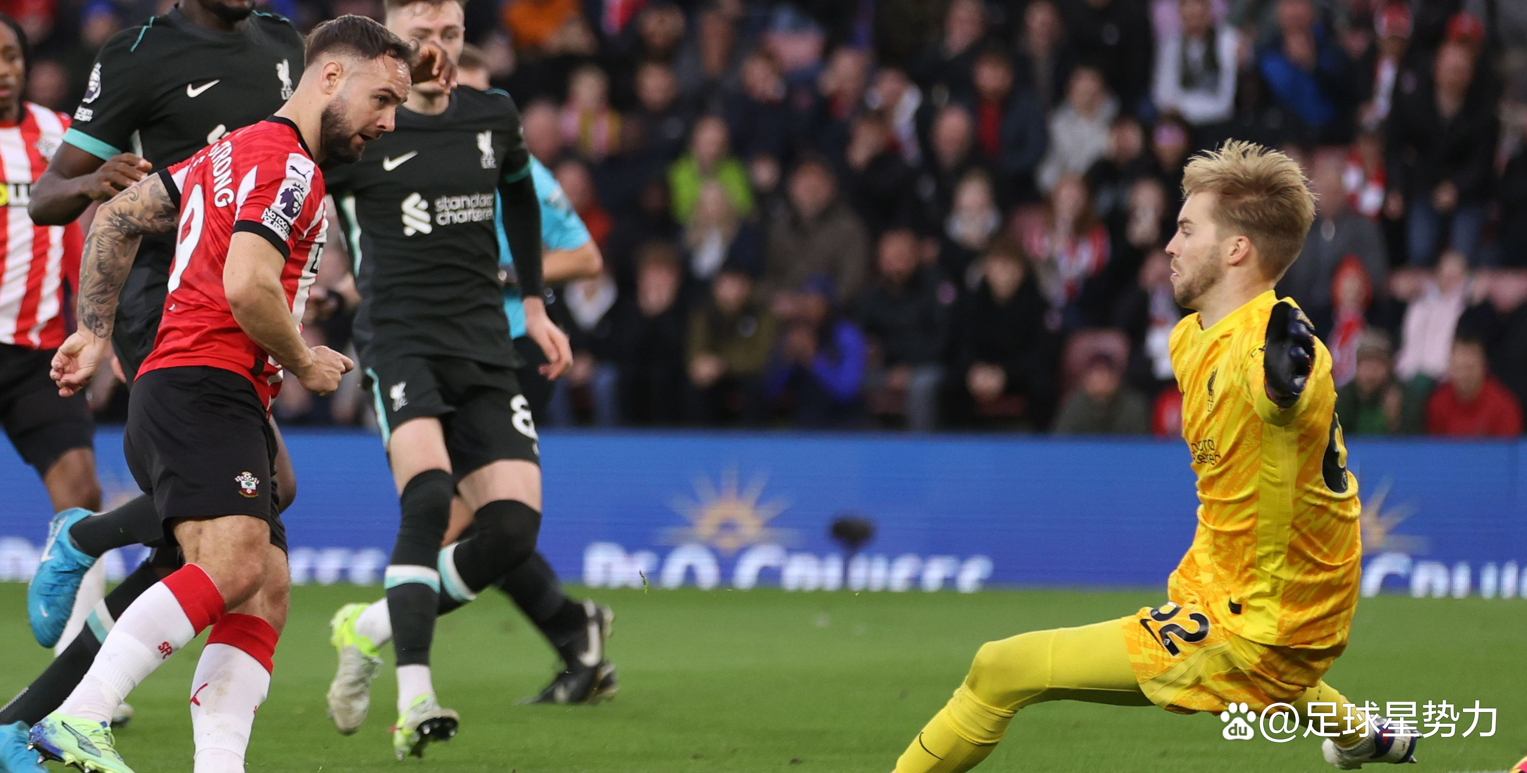 包含卡迪夫城主场不敌南安普顿，遭受失利的词条