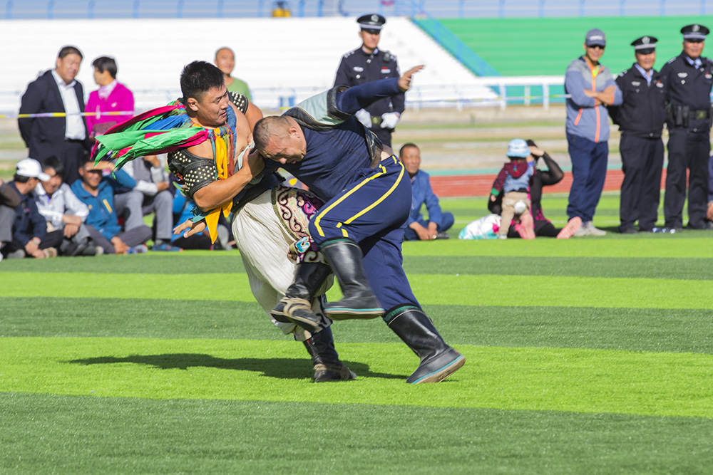 蒙古队在摔跤比赛中表现出色 蒙古队在摔跤比赛中表现出色