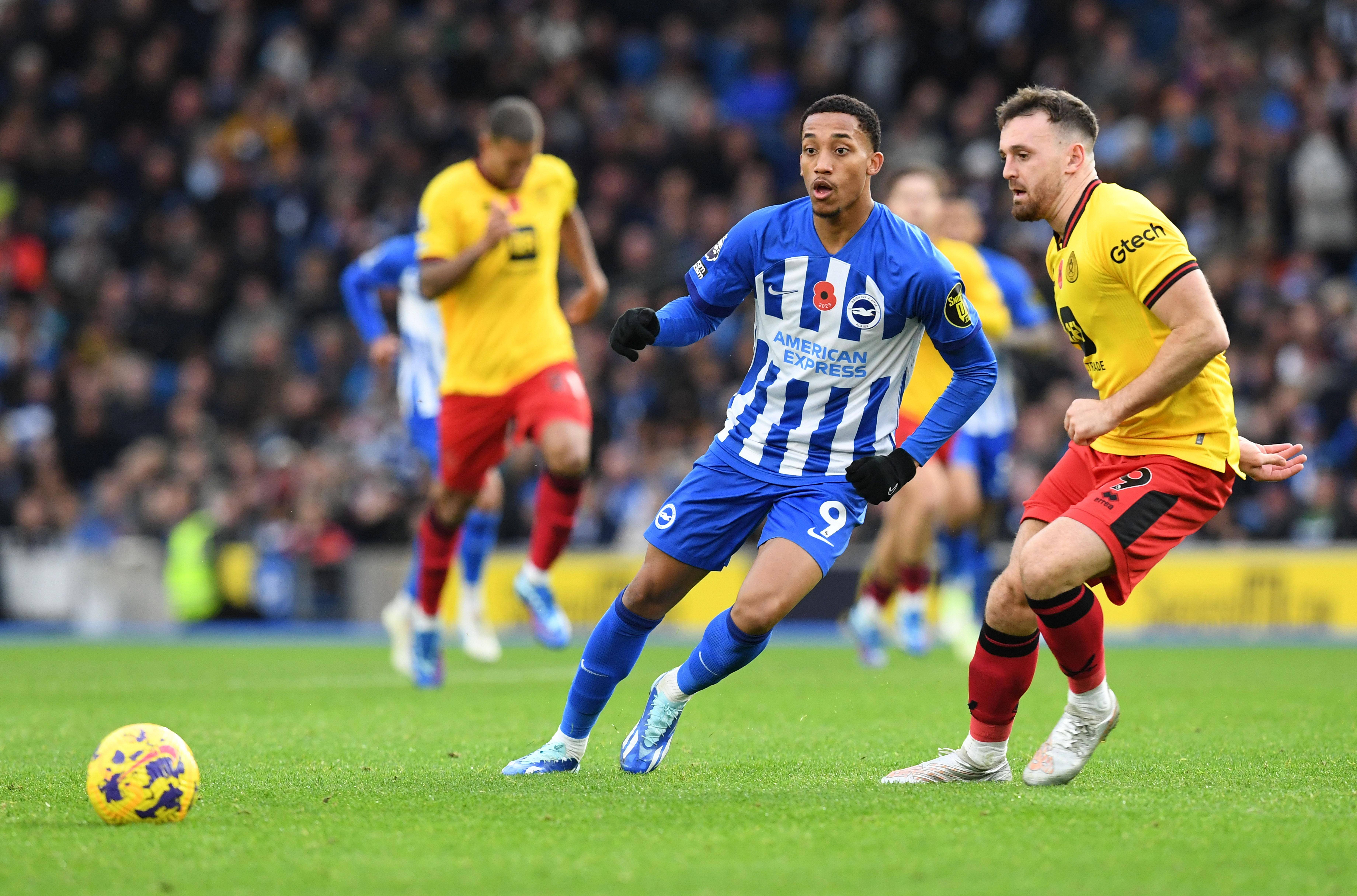 关于布赖顿主场力克狼队，豪取三分重要胜利的信息