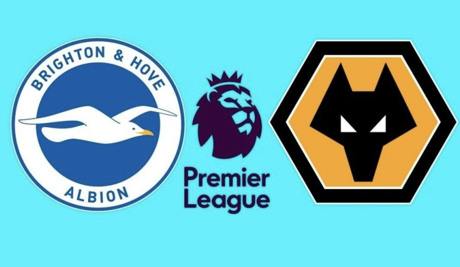 关于布赖顿主场力克狼队，豪取三分重要胜利的信息