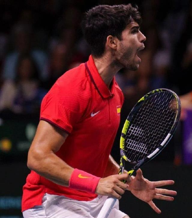 温网翻盘戴维斯杯，纳达尔惊艳四座的简单介绍