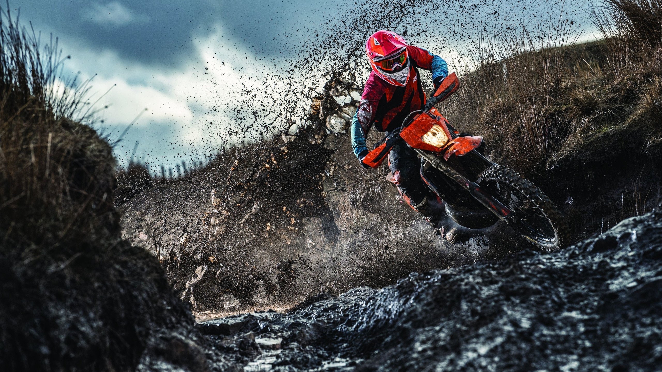 东瀛铁骑碾压奥地利，张本智和奉献高光时刻